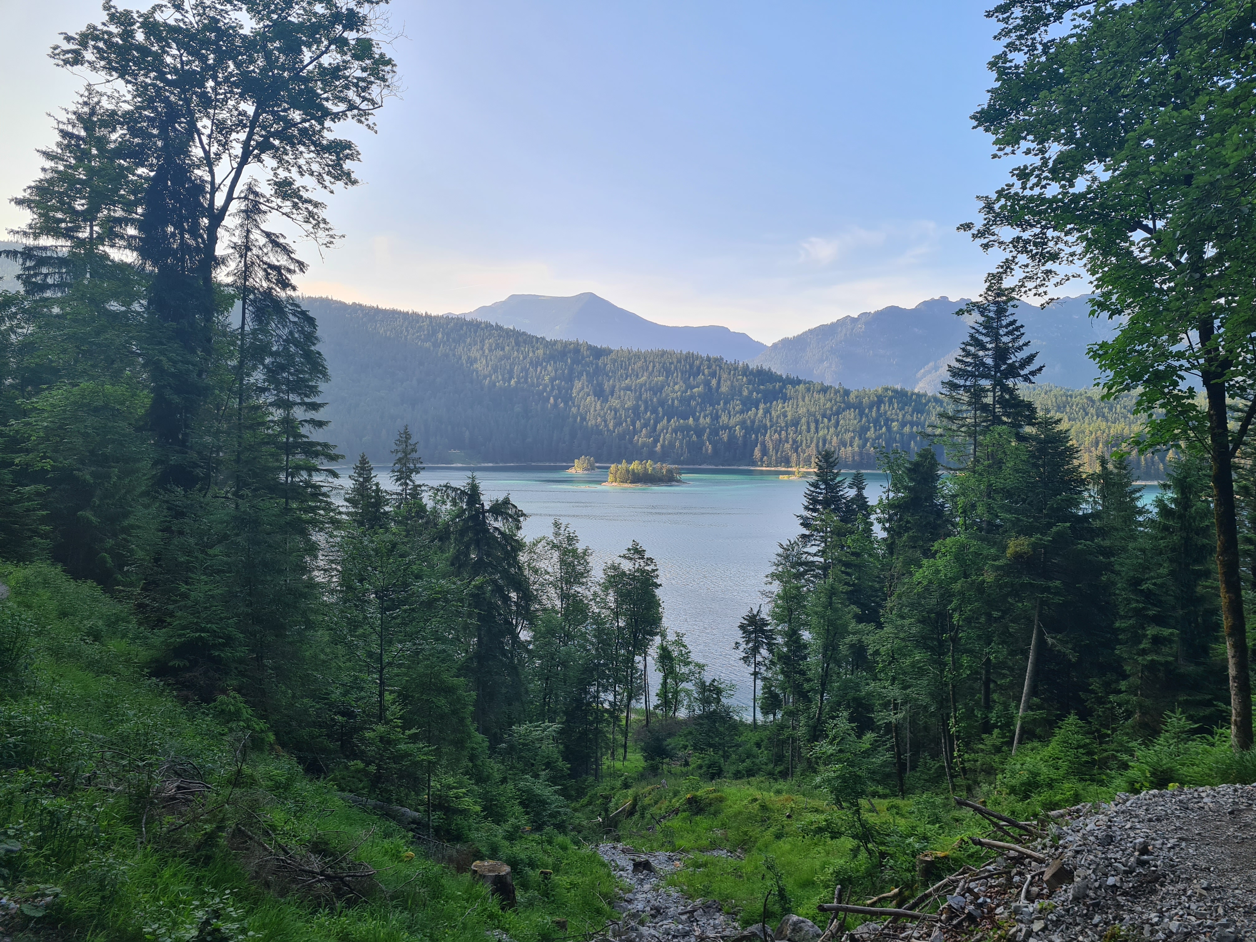 Bergsee zwischen Bäumen